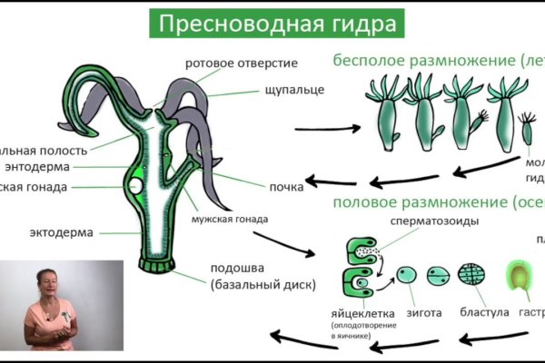 Kraken актуальный сайт